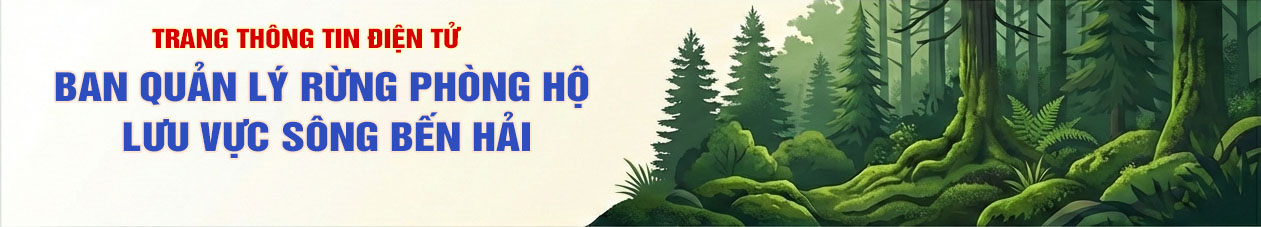 Ban quản lý rừng phòng hộ lưu vực sông Bến Hải